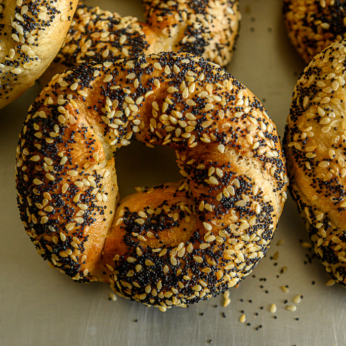 Everything Bagels 6 pack (Wed only)