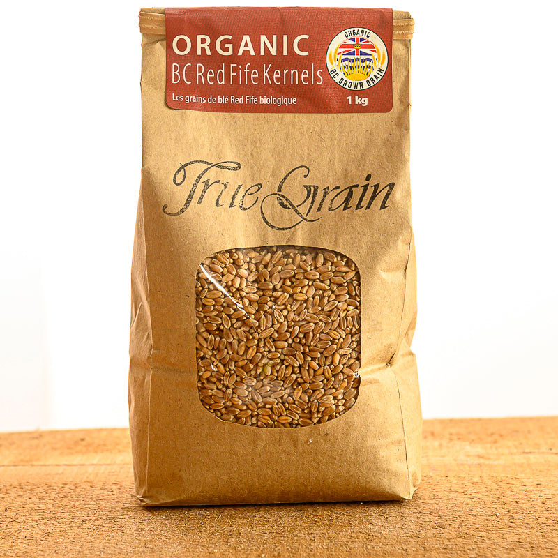 Organic BC Red Fife Kernels — True Grain